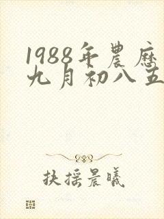 1988年农历九月初八五行属性