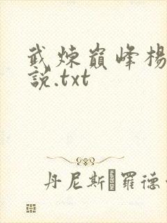 武炼巅峰杨开小说.txt