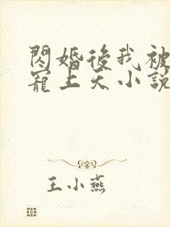 闪婚后我被大佬宠上天小说