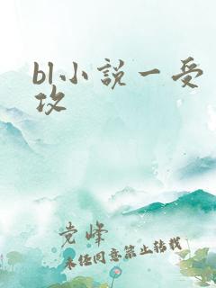 bl小说一受多攻