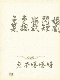 免费版闪婚老公是总裁短剧