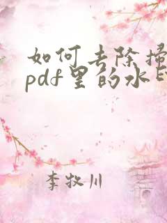 如何去除扫描王pdf里的水印