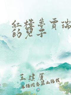 红楼梦贾瑞是谁的儿子