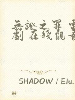 无证之罪 电视剧 在线观看
