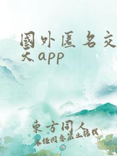 国外匿名交友聊天app