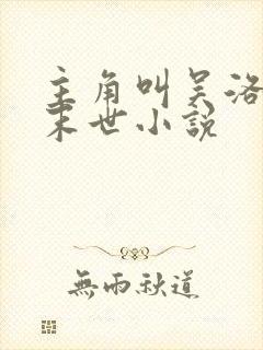主角叫吴洛枫的末世小说