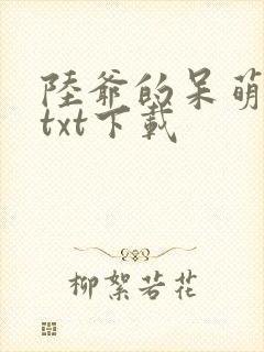 陆爷的呆萌甜妻txt下载