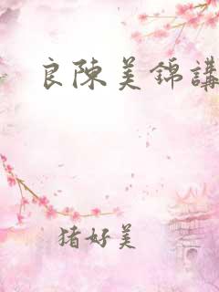 良陈美锦讲什么