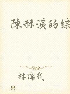 陈赫演的综艺