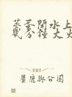 蒸蛋开水上锅蒸几分钟 大火还是小火