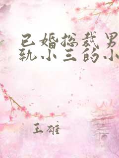 已婚总裁男主出轨小三的小说