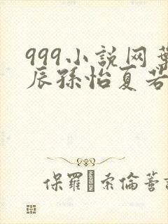 999小说网叶辰孙怡夏若雪