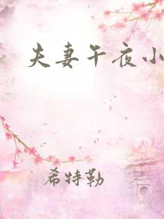 夫妻午夜小视频