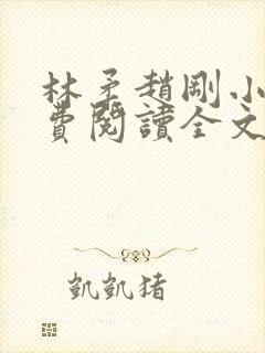 林柔赵刚小说免费阅读全文