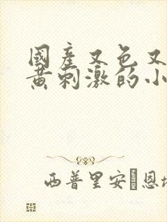 国产又色又爽又黄刺激的小说