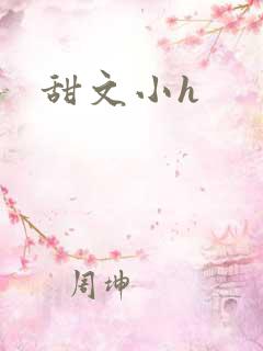 甜文小h