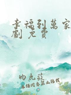 幸福到万家电视剧 免费