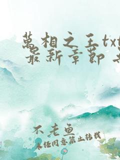 万相之王txt 最新章节 无弹窗