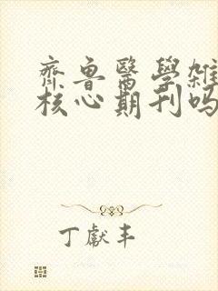 齐鲁医学杂志是核心期刊吗