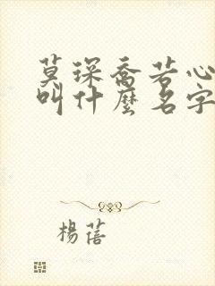 莫琛乔若心小说叫什么名字