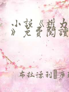 小说《权力巅峰》免费阅读