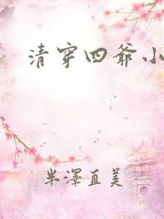 清穿四爷小说