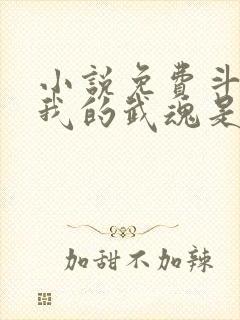 小说免费斗罗之我的武魂是模拟器