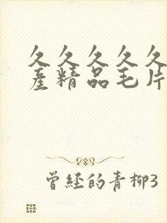 久久久久久久国产精品毛片
