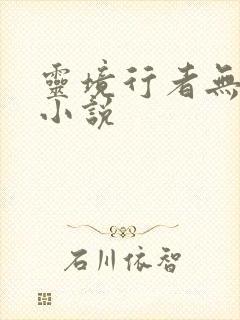 灵境行者无错字小说