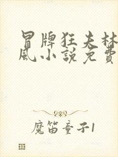 冒牌狂夫林悦顾风小说免费