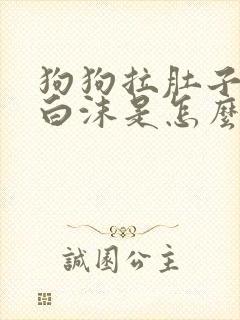 狗狗拉肚子呕吐白沫是怎么了