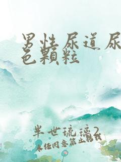 男性尿道尿出白色颗粒