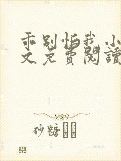 乖别怕我小说全文免费阅读