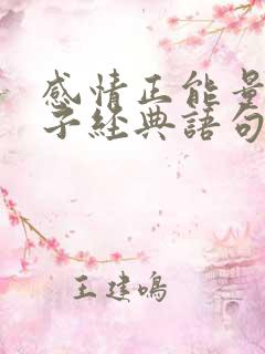 感情正能量的句子经典语句
