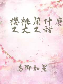 樱桃用什么肥料又大又甜