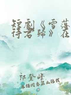 短剧《雪落人间待君归》在线观看