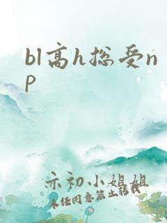 bl高h总受np