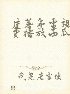 度华年电视剧免费播放西瓜网