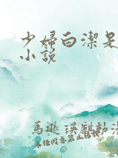 少妇白洁是哪本小说