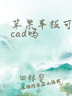 苹果平板可以画cad吗