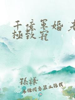 千亿军婚 老公极致宠