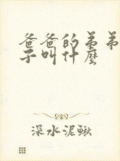 爸爸的弟弟的妻子叫什么