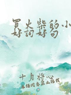 买火柴的小女孩好词好句