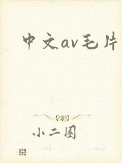 中文av毛片