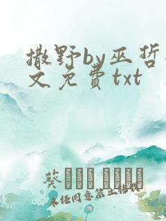 撒野by巫哲全文免费txt