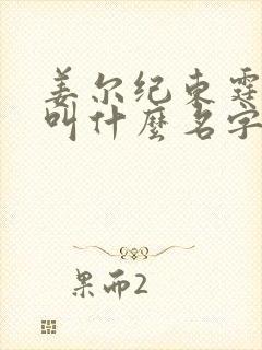 姜尔纪东霆小说叫什么名字