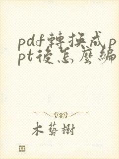 pdf转换成ppt后怎么编辑文档