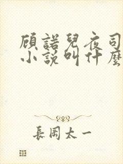 顾诺儿夜司明的小说叫什么名字