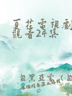 夏花电视剧免费观看24集