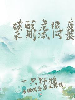 碳酸危机广播剧未删减网盘